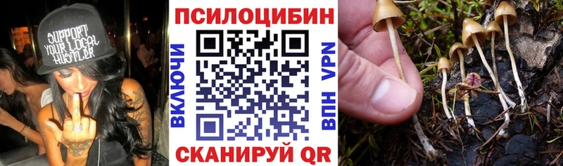 MEGA сайт  Новодвинск  Галлюциногенные грибы Psilocybe 